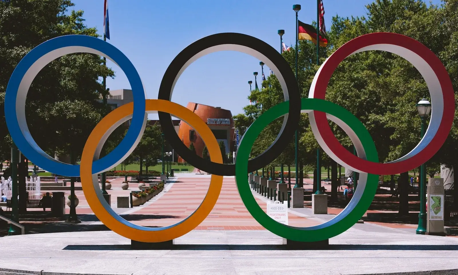 Rodeln als olympischer Sport